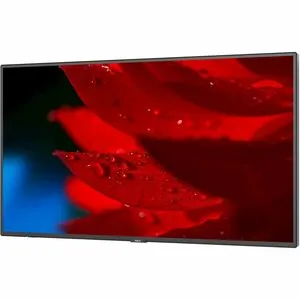 NEC Display 55" Wide Color Gamut Ultra High Definition Professional Display